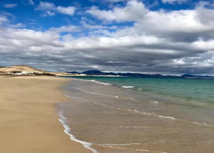 Welooveyou Turquesa *