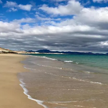 Welooveyou Turquesa *